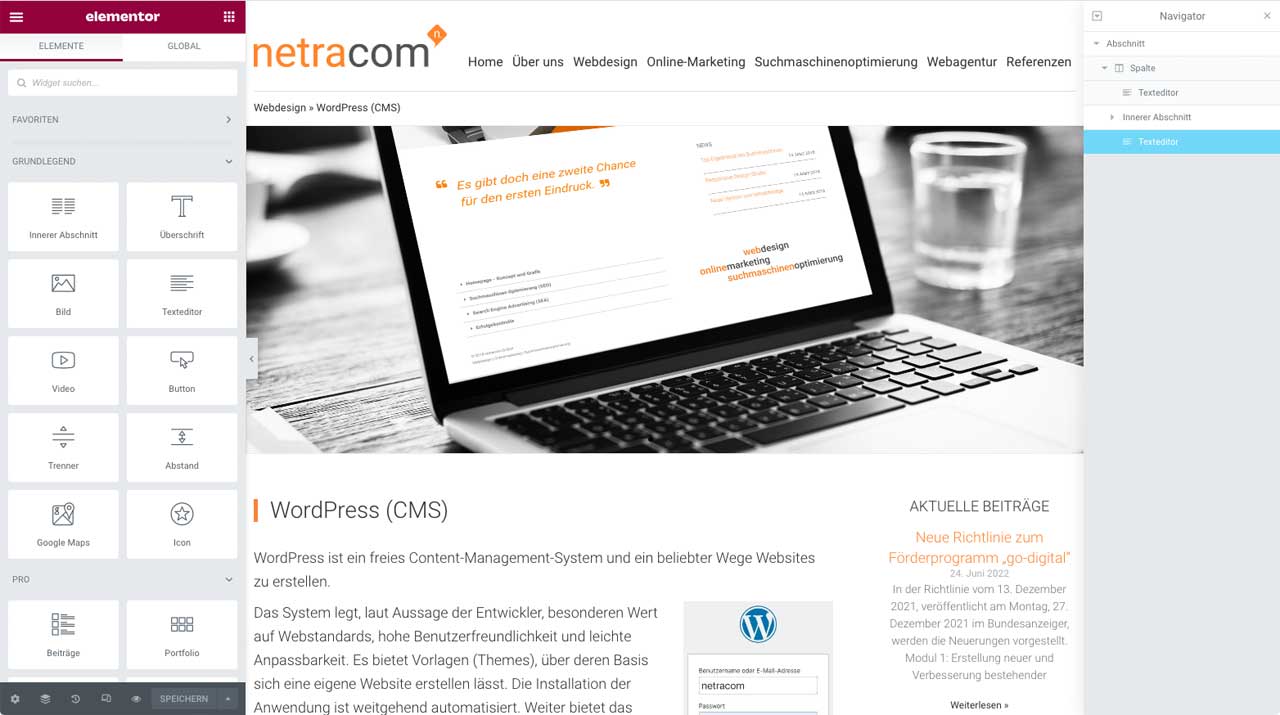WordPress Administration über Elementor Pro
