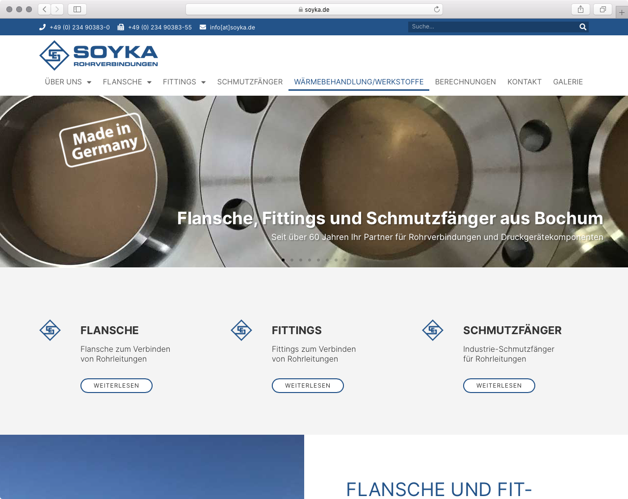 Soyka Website